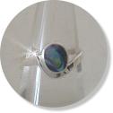 R-048-NET